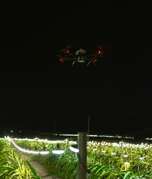 夜間水稻直播、果樹植保